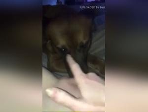 Bestial Ecstasy