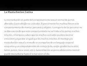 Discover the world of bestiality and zoophilia