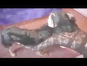 Bestiality Video: An Exciting Experience