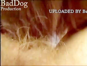 Extremes Hundesexvideo