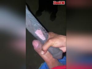 Bestial sensation: shared enjoyment
