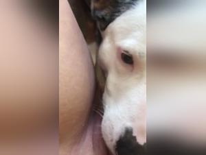 Juicy body, wild instinct: intense licking, raw satisfaction