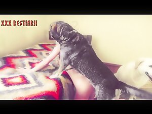 Bestiality sex videos - The most beautiful sex videos with animals