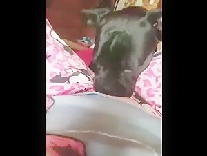 Intense zoophilia video with an experienced milf