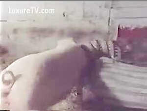 Intense zoophilia video: a woman and a pig