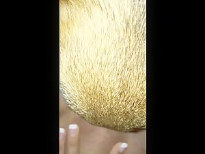 Dog sex video: an extreme experience