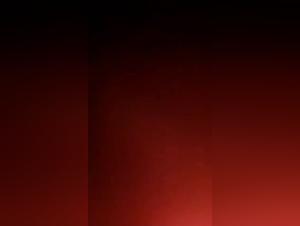 Explore the Limits: Canine Dominance and Irresistible Urges