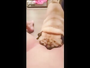 Teen filled with dogs in extreme bestiality sex video