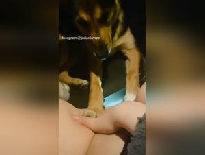 Animal Delights: Amateur Licking and Zoophilia