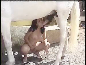 Bestiality sex video with a novinha and a garanhao