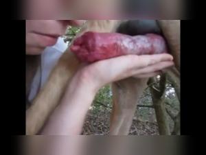 Milly Unleashes her Desires: Erotic and Intense Doggy Fuck