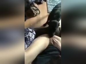 Wild exploits: Dog Fuck & Indomitable Lust