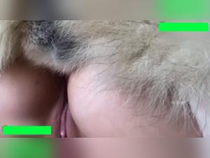 Canine Domination & Female Pleasure