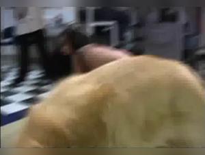 Schlampen im Geiste: Ihre Liebe zu Hunden explodierte