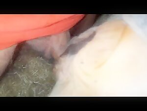 Bestialidad y extremo: mi video de sexo con una vaca