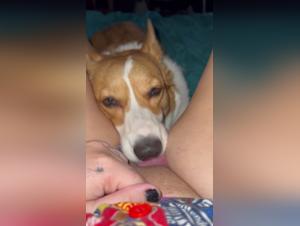 Divert your deepest desires with these scenes of dog and woman.