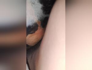 Extreme fetish scenes: Dog fucking, animal domination and insatiable desire