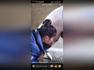 Wild Fuck, verbotene Freuden und tierische Verlangen