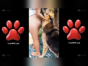 Canine Domination, Female Submission: Explore the Irresistible Attraction