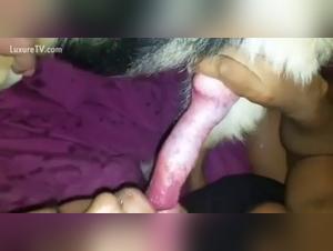Submission, wild desire and prohibited antics