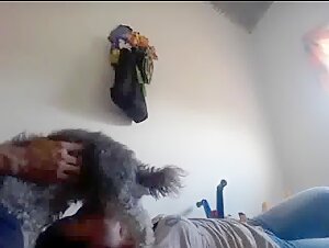 Extreme Bestiality Video