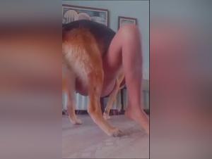 Slave to Animal Desire: Sluts at the Disposal of Dogs