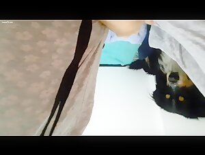 Videos de sexo con perros: una mujer en pijama y su perro