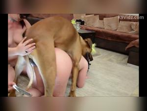 Sexo Animale Brut :  Deux Femmes Fouettent Leur Désir avec un Chien