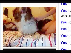 Découvrez notre sélection de vidéos de zoophilie mettant en vedette des femmes et des chiens
