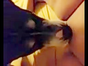 Sex with Dog: An Extreme Experience