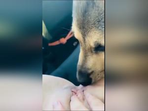 Sexy scene: Woman fucking with her dog
