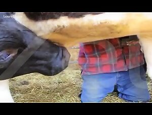Bestiality Video - Sex with Dog