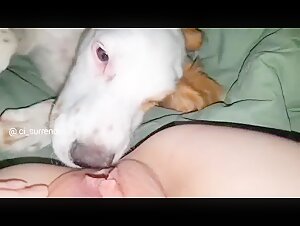 Bestiality Sex Video with a Dog