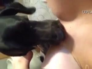 Exploration of Domination: Discover extreme blonde and canine pleasure