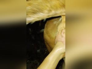 S'abandonner à la Bestialité:  Expériences Sexuelles Interdites