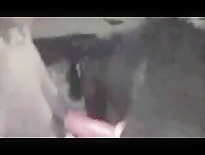 Video de bestialidad: una mujer y su perro