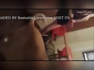 Dog devours the flesh of its prey: A hardcore Italian video