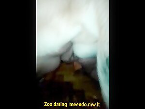 Discover bestiality in a new light with this bestiality video featuring a mature woman and a dog.
