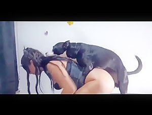 Bestiality Video: Sex with Dog