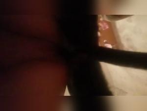 Explore the Dark Brothel: Animal Sex without Limits