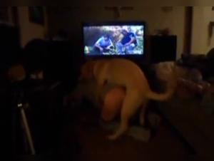 Forbidden Delights: Discover the Extreme with Milly and her Four-Legged Accomplice