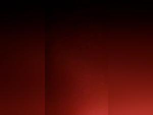 The Eternal Struggle: Power, Submission and Brutal Passion with Dog