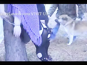 A beastly and intense experience with dogs