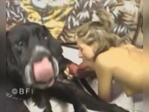 Italian Canine Domination