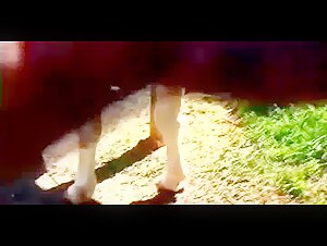 Watch this Sensual Woman Push the Limits of Her Sexuality in this Hardcore Bestiality Video