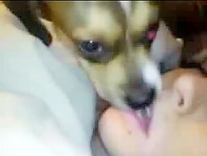 Watch this exclusive bestiality webcam