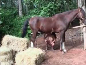 Salope perverse se fait baiser par une grande jument brune