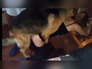 Verbotene Wunsche: Die intensive Vereinigung von Frau und Deutschem Schaferhund