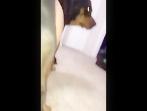 Bestiality video with hairy pussy teen