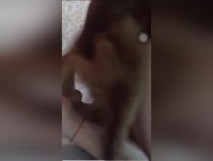 Part 1: Female Domination and Animal Submission